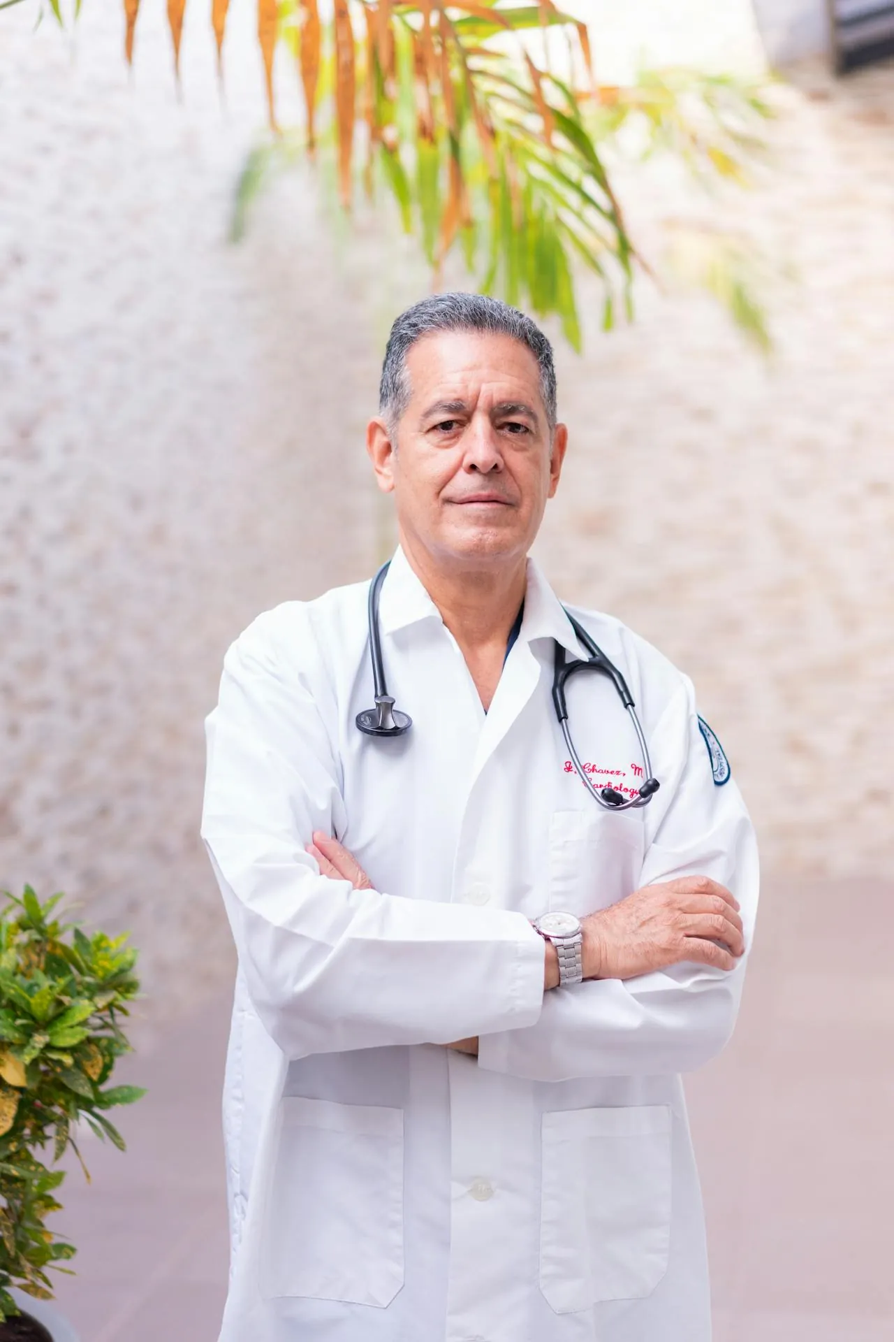 Enfoque y asesoría visual